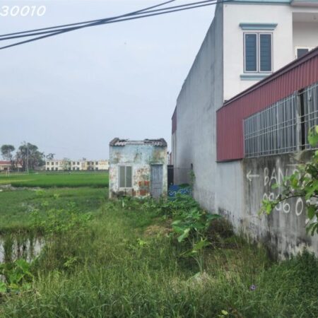 Bán đất thôn Lai Hạ, xã Tân Dân, huyện An Lão, TP Hải Phòng