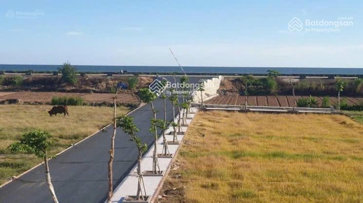 Cơ Hội Vàng! Bán Gấp Lô Góc Đẹp Nhất Mặt Biển Quất Lâm – 100% Thổ Cư, Giá Rẻ Hơn Thị Trường 20%!