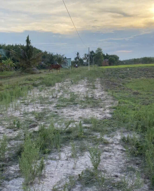 HÓT ĐẤT ĐẸP – GIÁ Tốt – Vị Trí Tại : Ấp Suối Ông Đinh – Trà Vong – Tân Biên – Tỉnh Tây Ninh