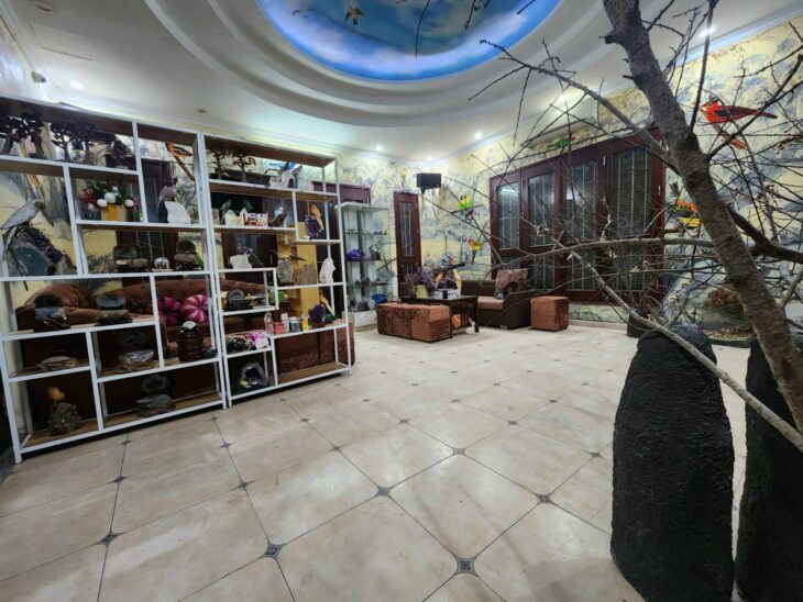 ⚜️ Ngon Bổ Rẻ Rộng nhất Biệt thự KĐT mới Bán đảo Linh Đàm, 254m2 5T MT 13m, Chỉ 49.5 Tỷ ⚜️