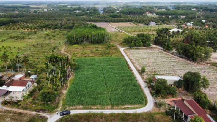 SỞ HỮU ĐẤT ĐẸP – GIÁ Tốt – Vị Trí Đắc Địa Tại : Ấp Cây Đa – Xã Hiệp Thạnh – Huyện Gò Dầu – Tỉnh