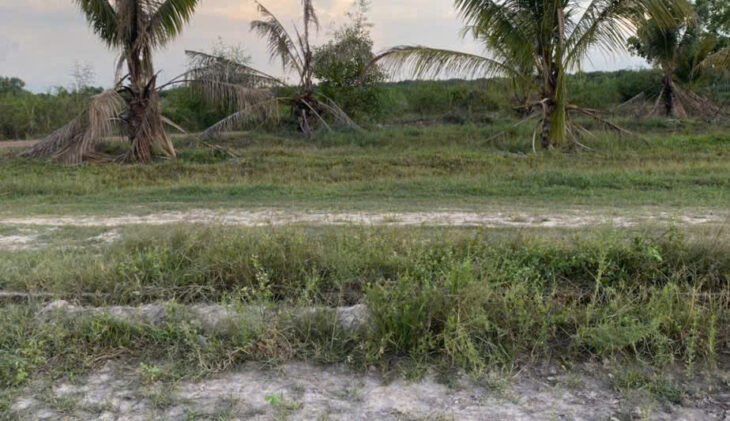 HÓT ĐẤT ĐẸP – GIÁ Tốt – Vị Trí Tại : Ấp Suối Ông Đinh – Trà Vong – Tân Biên – Tỉnh Tây Ninh