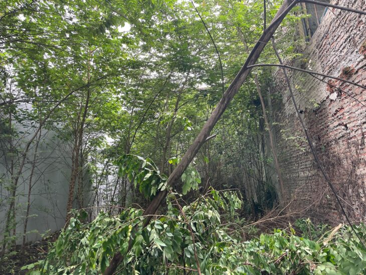 ⚜️ Đất vàng Đường Giải Phóng, Hoàng Mai, Ngõ to như phố, Vỉa hè, 267m2 MT 10m, Chỉ 55 Tỷ ⚜️