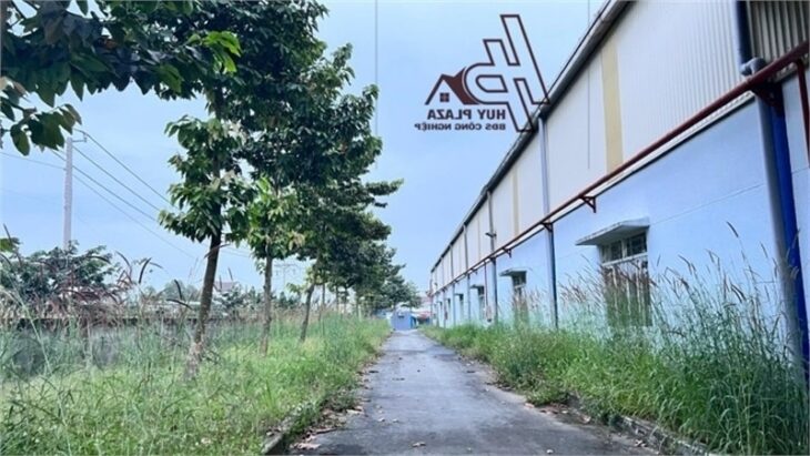 Nhà Xưởng sản xuất thu hút nhiều CTY DNNN, bàn giao nhà xưởng liền