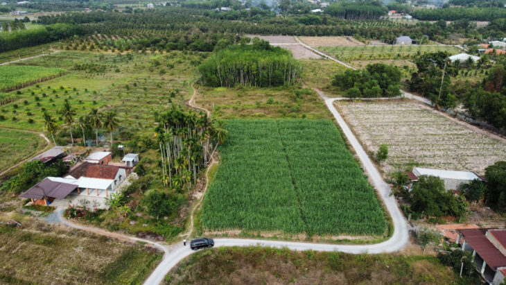 SỞ HỮU ĐẤT ĐẸP – GIÁ Tốt – Vị Trí Đắc Địa Tại : Ấp Cây Đa – Xã Hiệp Thạnh – Huyện Gò Dầu – Tỉnh