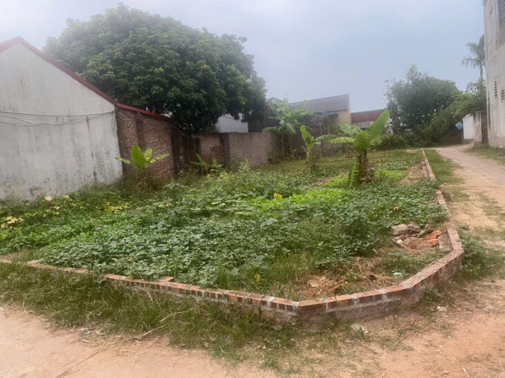 ĐẤT CHÍNH CHỦ – GIÁ TỐT – Vị Trí Đẹp Tại Thôn Hiền Lương, Xã Hiền Ninh, Huyện Sóc Sơn, Thành phố Hà