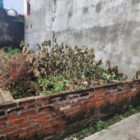 CẦN BÁN LÔ GÓC ĐẤT LIÊN KỀ THỊ TRẤN ĐÔNG HƯNG GIÁ 1.23 TỶ