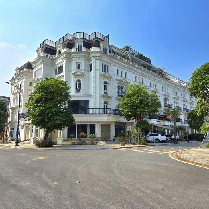 Bán siêu phẩm lô góc Louis City Đại Mỗ, 216m2, 5 tầng kinh doanh siêu đỉnh