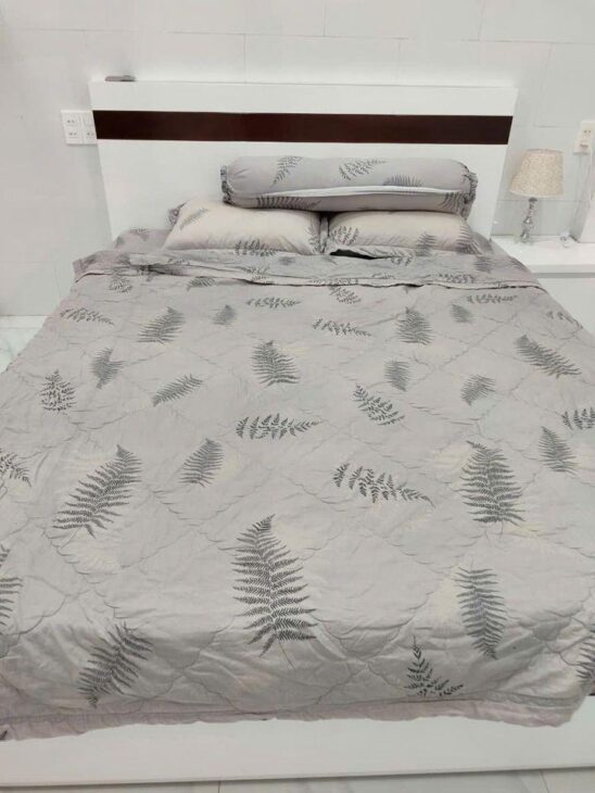 Bán nhà 2 tầng hẻm xe hơi – Giá 4,95 Tỷ – TP Nha Trang