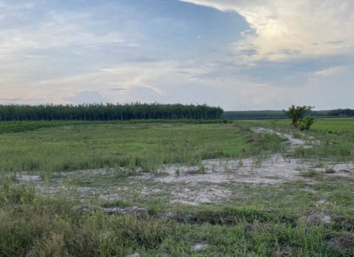 HÓT ĐẤT ĐẸP – GIÁ Tốt – Vị Trí Tại : Ấp Suối Ông Đinh – Trà Vong – Tân Biên – Tỉnh Tây Ninh