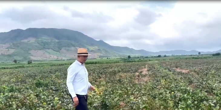 Bất Động Sản Nông Nghiệp – BĐS Tạo Dòng Tiền Luôn Trên Đất