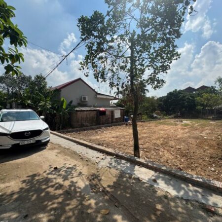 Đất 279.7m2 đất Đình Buộm xã Hồng Kỳ Sóc Sơn HN