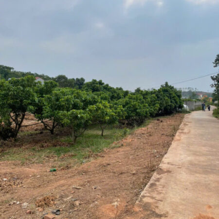 Cần bán 5 lô biệt thự F0 tại Kiên Thành- Lục Ngạn -Bắc Giang