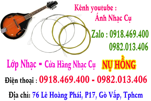 Chuyên thay dây đàn mandolin tại gò vấp, tphcm, sài gòn