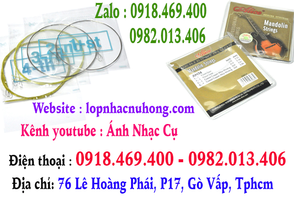 Chuyên thay dây đàn mandolin tại gò vấp, tphcm, sài gòn