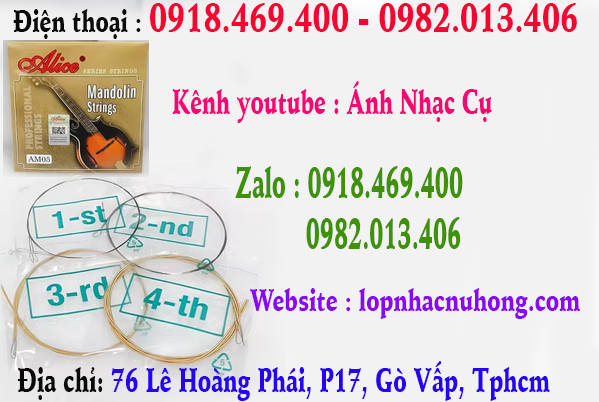 Chuyên thay dây đàn mandolin tại gò vấp, tphcm, sài gòn