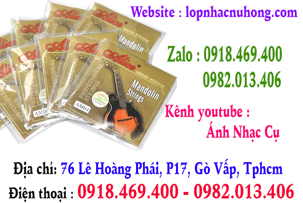 Chuyên thay dây đàn mandolin tại gò vấp, tphcm, sài gòn