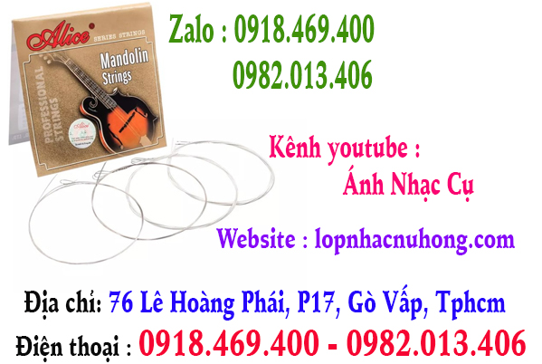 Chuyên thay dây đàn mandolin tại gò vấp, tphcm, sài gòn
