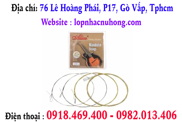 Chuyên thay dây đàn mandolin tại gò vấp, tphcm, sài gòn