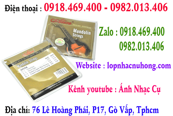 Chuyên thay dây đàn mandolin tại gò vấp, tphcm, sài gòn
