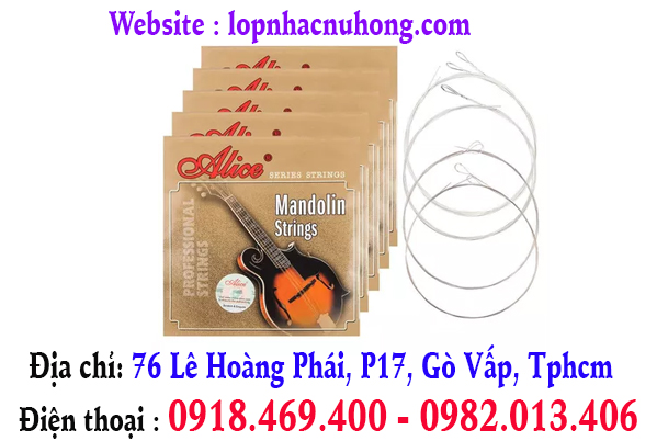 Chuyên thay dây đàn mandolin tại gò vấp, tphcm, sài gòn