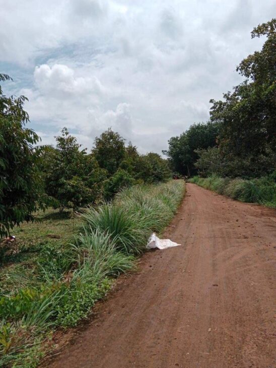 Cần bán miếng vườn sầu riêng 17000m2 Phú Riềng Bình Phước