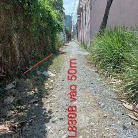 Bán đất thổ cư 248m2, ĐT830, Long Định, Cần Đước, Long An – 1.5 tỷ