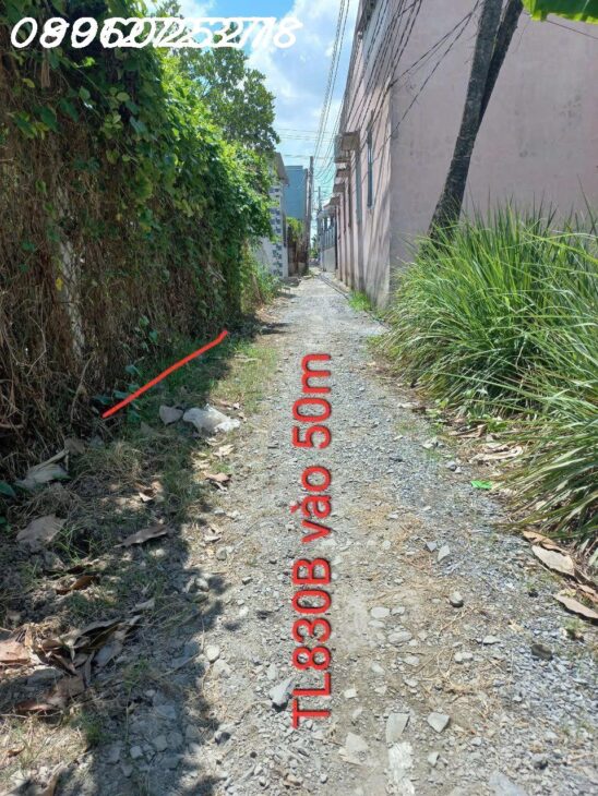 Lô đất thổ cư Long Định 246m² – Sổ hồng riêng, chỉ 1.55 tỷ