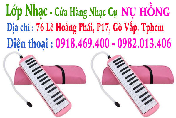 Địa chỉ nơi bán kèn phím / melodica / melodion 32 và 37 phím tại gò vấp, tphcm, sài gòn