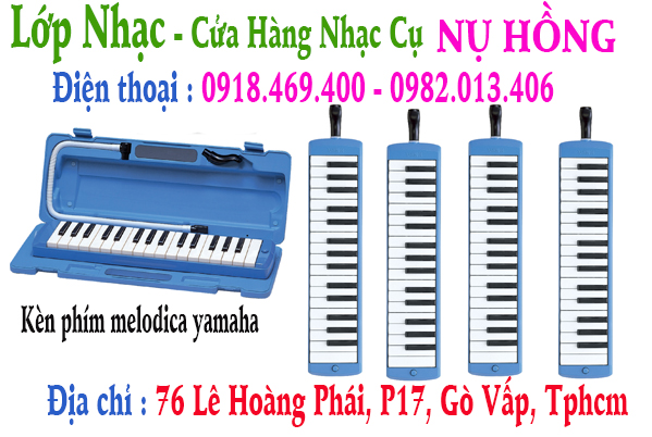 Địa chỉ nơi bán kèn phím / melodica / melodion 32 và 37 phím tại gò vấp, tphcm, sài gòn
