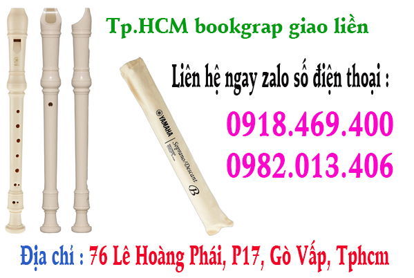 Mua sáo recorder yamaha tại địa chỉ : 76 lê hoàng phái p17 gò vấp tphcm