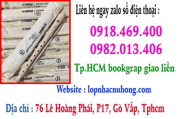 Mua sáo recorder yamaha tại địa chỉ : 76 lê hoàng phái p17 gò vấp tphcm