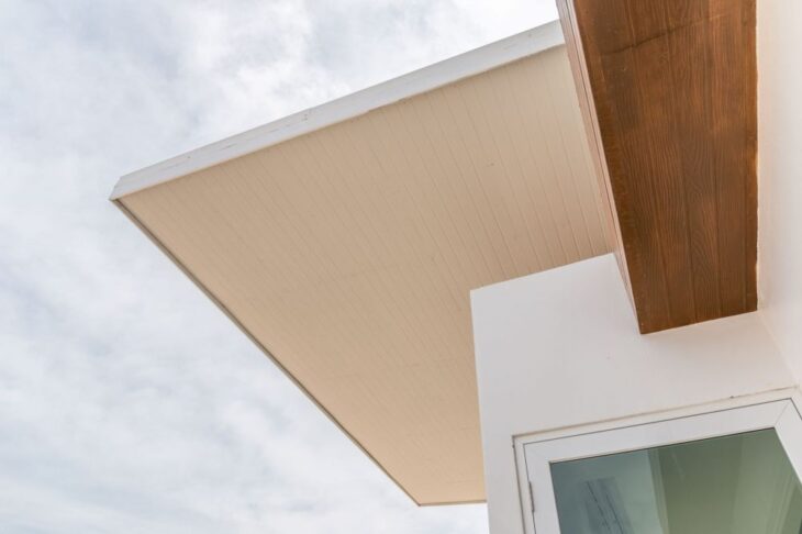 SHERA Wood là gì? Có bao nhiêu chủng loại & ứng dụng