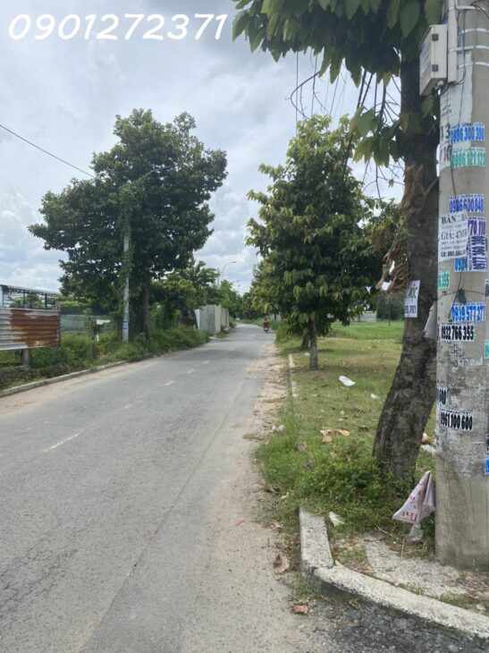 Bán nhanh đất 2 MT thổ cư 891m², gần chợ Xuân Thới Thượng và Bà Điểm, giá 23.5 tỷ, SHR