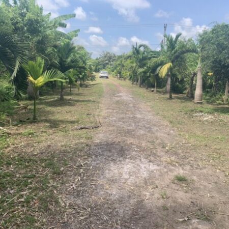 BÁN ĐẤT PHƯỜNG HOÀNG DIỆU, VỊ TRÍ ĐẸP TIỀM NĂNG SINH LỜI CAO