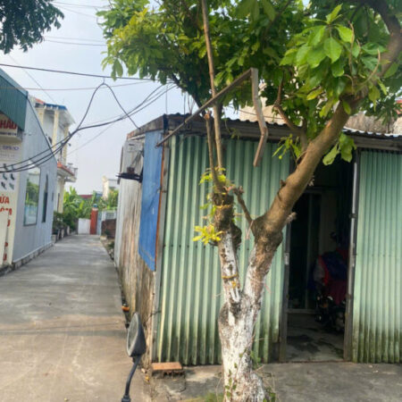 Bán Đất mặt đường , kinh doanh diện tích khủng nằm trên trục đường xã Đông Động – Đông Hưng