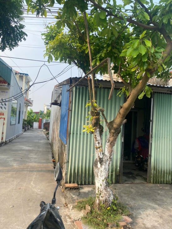 Bán Đất mặt đường , kinh doanh diện tích khủng nằm trên trục đường xã Đông Động – Đông Hưng