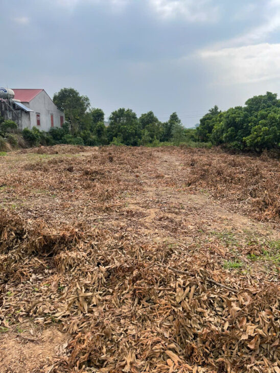 CƠ HỘI ĐẦU TƯ SINH LỜI CAO ĐẤT THUỘC THỊ XÃ CHŨ- BẮC GIANG- SỞ HỮU FARM TRỒNG RAU SẠCH KHÍ CANH.(