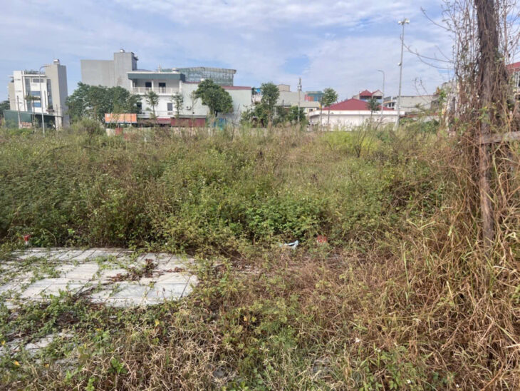 Bán đất TĐC Mai Lâm 56m2 nhỉnh 7 tỷ – Hàng xóm Vinhome Cổ Loa – Cạnh trường mầm non cấp 1,2, chợ,