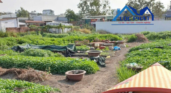 cho thuê đất trung tâm Biên Hòa 3000 m2 chỉ 40 triệu