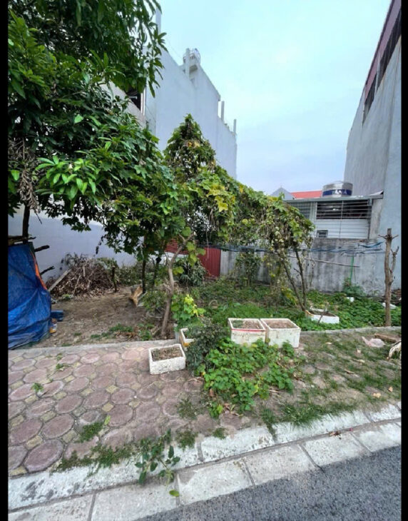 CẦN BÁN NHANH LÔ ĐẤT ĐẸP ĐƯỜNG DƯƠNG ĐỨC HIỀN – GIA LÂM – ĐƯỜNG CONTERNER TRÁNH – MẶT TIỀN 15M – !