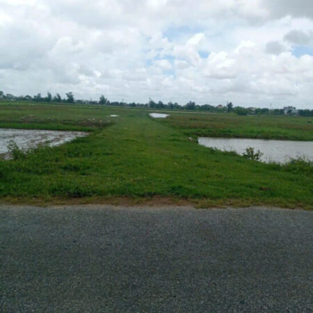 BÁN ĐẤT TẠI THÔN BẠCH ĐẰNG – XÃ QUANG MINH – KIẾN XƯƠNG CÓ THỂ MỞ XƯỞNG SẢN XUẤT, TRUNG TÂM THƯƠNG