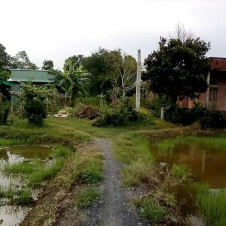 BÁN ĐẤT – TÂN TRỤ, LONG AN 962M2 CHỈ NHỈNH 1 TỶ.