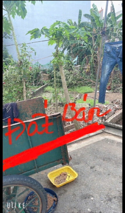 MẢNH ĐẤT HIẾM ĐA TỐN GIA LÂM- Ô TÔ SÁT ĐẤT – HÀNG XÓM VIN OCEANPARK – ECOPARK – HƯỞNG TRỌN TIỆN