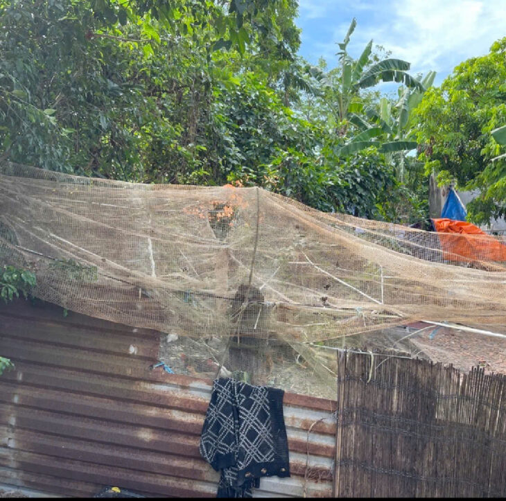 57m2 – Dương đức hiền – kim sơn – gia lâm – hà nội