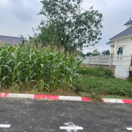 Bán lô đất siêu phẩm Phúc Tiến 71.2m 7mt ôtô ngõ thông giá rẻ 2.2 tỷ