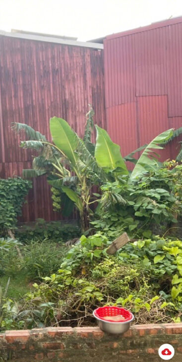 SIÊU HIẾM – Ô TÔ ĐỖ CỬA – 10M ĐƯỜNG XE TẢI TRÁNH – THÔNG THOÁNG – VỊ TRÍ RẤT TIỀM NĂNG