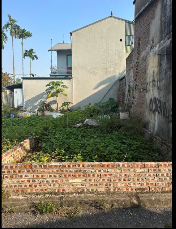 ĐẤT ĐÔNG DƯ – OTO VÀO ĐẤT – MẶT NGÕ THÔNG – GIÁ HỢP LÝ