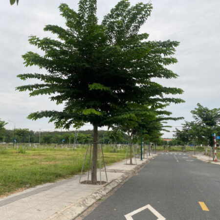 “Cơ Hội Vàng: Sở Hữu Lô Đất Nền 80m² Hòa Lợi, Pháp Lý Chuẩn, Giá 1,68 Tỷ!