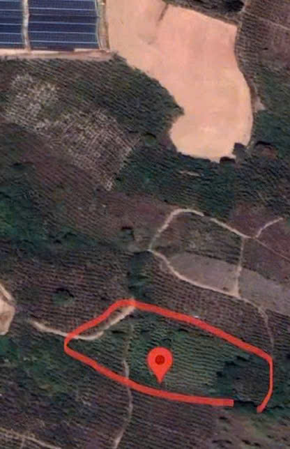 HOT !!! SỞ HỮU NGAY LÔ ĐẤT ĐẸP – GIÁ TỐT – Vị Trí Đắc Địa Tại Tại Cây Số 15 Tại Lâm Hà, Lâm Đồng